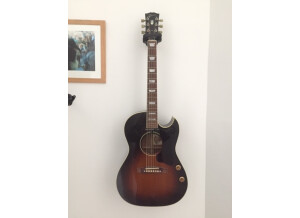 Gibson CF100E