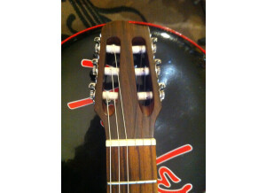 Line 6 Variax Acoustic 300 Nylon (60429)