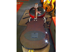 Line 6 Variax Acoustic 300 Nylon (96107)