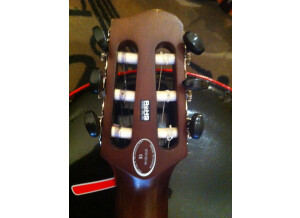 Line 6 Variax Acoustic 300 Nylon (59603)