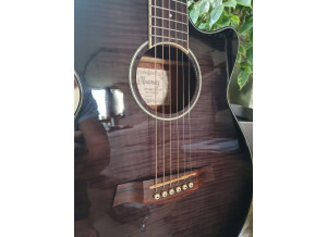 Ibanez AEG24II (8184)