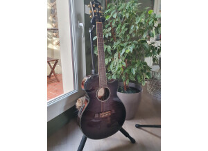 Ibanez AEG24II (95122)