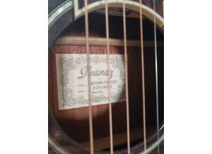 Ibanez AEG24II (25077)