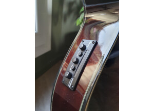 Ibanez AEG24II (95723)