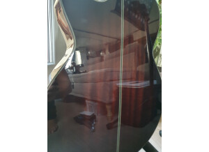 Ibanez AEG24II (49174)