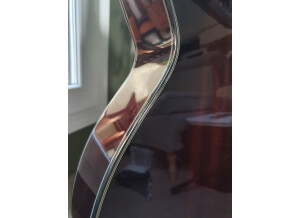 Ibanez AEG24II (77688)