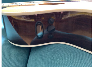 Fender PM-3 Deluxe Triple-0 (49809)