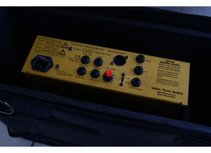 Eden Electronics WT-400 (Traveler Plus)