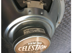 Celestion Ten 30 (64272)