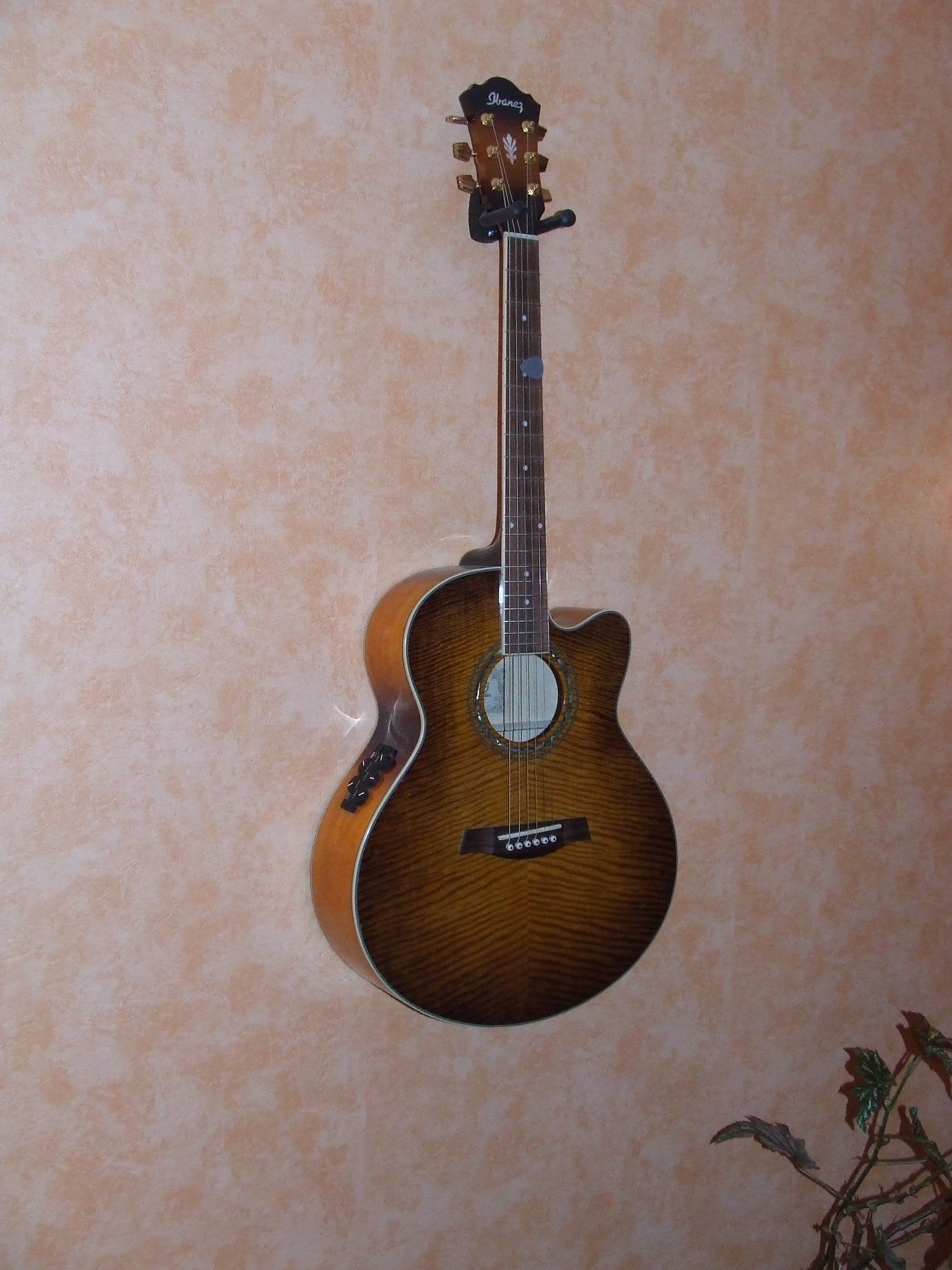Ibanez AEL20E