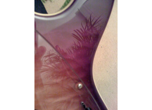 MusicMan Steve Morse