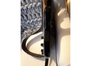 Music Man StingRay 5 (22084)