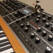Moog Music Moog One 8