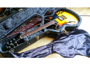 Gibson ES-335 Dot Plain Gloss (50549)