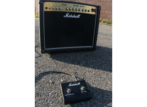Marshall DSL40C (353)