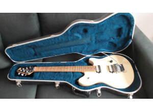 Peavey Wolfgang Special (16443)