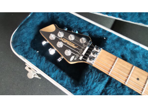 Peavey Wolfgang Special (54685)