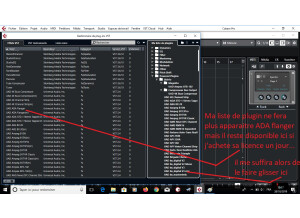 20 il est supprimé de ma liste d utilisation nomé ma liste de plugin mais pas de l ordinateur