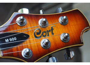 Cort M-Custom / M900 (6350)