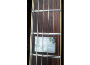 Cort M-Custom / M900 (19134)