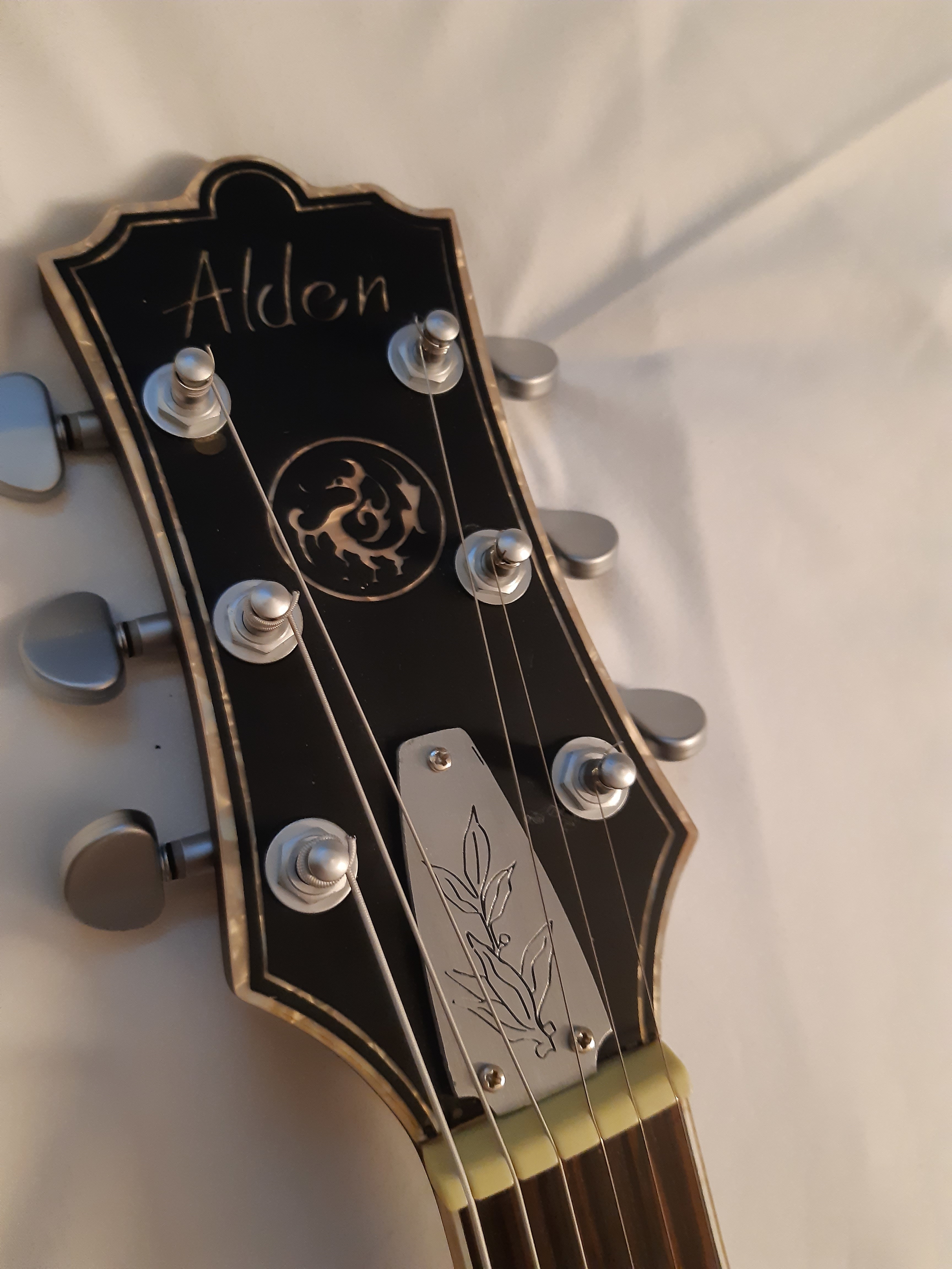 Alden Guitars Blues Line ZE Alto Top