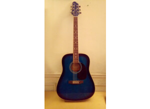 PHOTO GUITARE 1