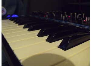 Novation Bass Station II (4269)