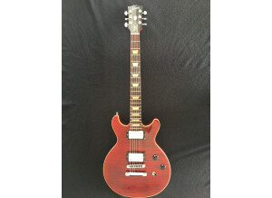Gibson Les Paul DC Pro (52383)