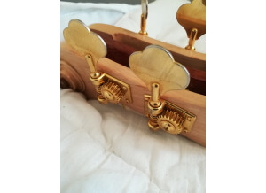 Ampeg Baby Bass (85138)