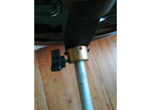 Ampeg Baby Bass (59155)