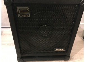 Roland Cube-100 Bass (681)