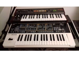 Roland GAIA SH-01 (24303)