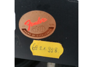 Fender Champion 110 (92332)