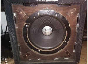 Ampeg B15 Fliptop (70381)