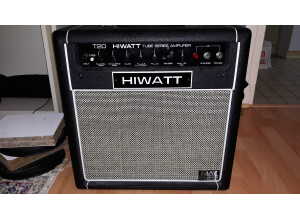 Hiwatt T20 (3936)