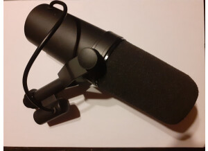 Shure SM7B (8413)