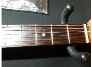 Baltimore Stratocaster (43584)