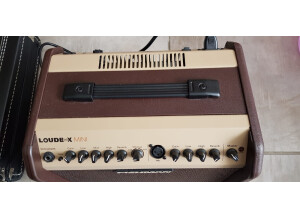 Fishman Loudbox Mini (85378)