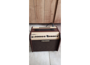 Fishman Loudbox Mini (49628)