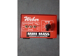 Weber Mini Mass 25W (4658)