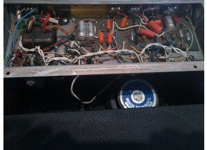 Fender Champ II (3967)