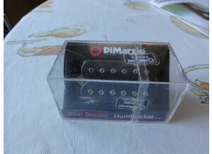 DiMarzio DP101 Dual Sound