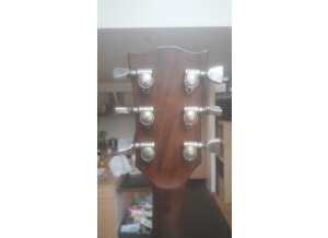 Gibson SG Firebrand (44342)