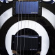Zakk Wylde ZV Custom Zakk Wylde ZV Custom