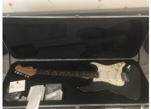 Fender Standard Stratocaster Plus Top (26495)