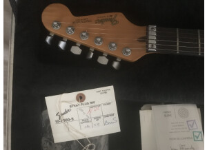 Fender Standard Stratocaster Plus Top (49611)