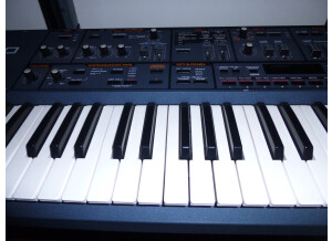 Roland JP-8000 (32933)