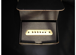 L.R. Baggs M1 (57002)