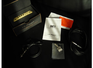 L.R. Baggs M1 (75624)