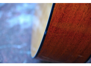 Tanglewood TD8 (3006)